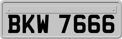 BKW7666