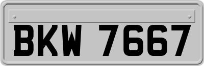 BKW7667
