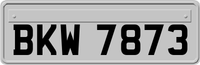 BKW7873