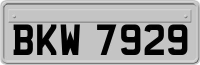 BKW7929