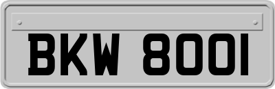 BKW8001