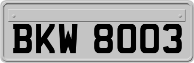 BKW8003