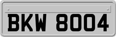 BKW8004