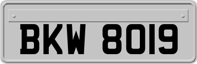 BKW8019