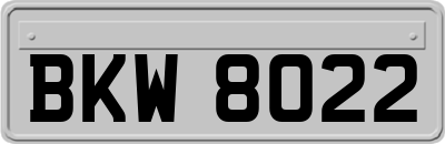 BKW8022