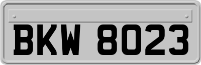 BKW8023