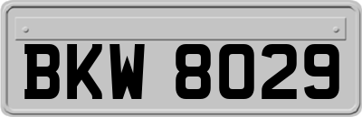 BKW8029