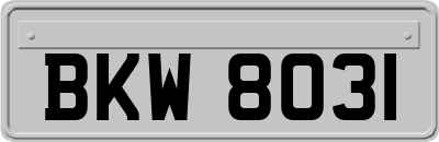 BKW8031