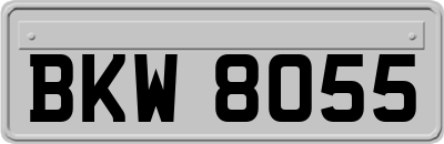 BKW8055