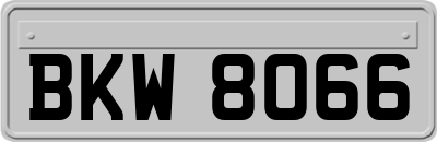BKW8066