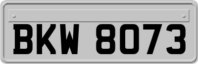 BKW8073
