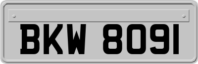 BKW8091