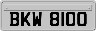 BKW8100