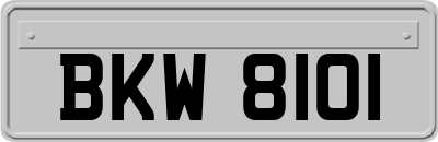 BKW8101