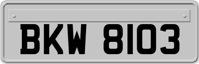 BKW8103