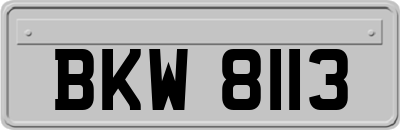 BKW8113