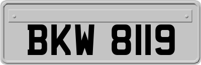 BKW8119