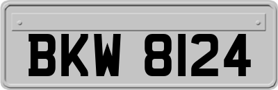 BKW8124