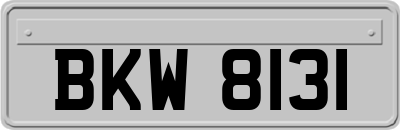 BKW8131