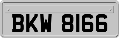 BKW8166