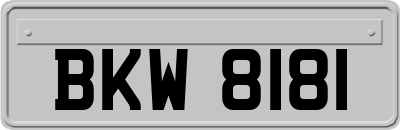 BKW8181