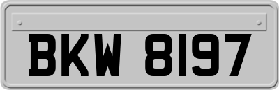 BKW8197