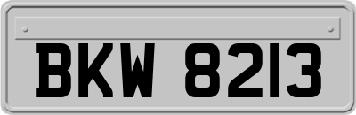 BKW8213
