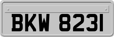 BKW8231