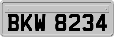 BKW8234