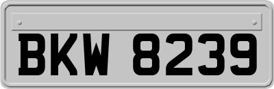 BKW8239