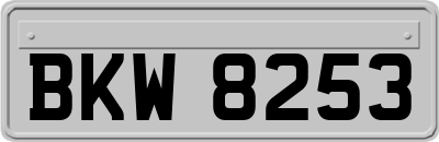 BKW8253