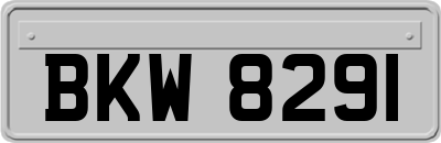 BKW8291