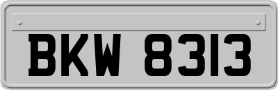 BKW8313