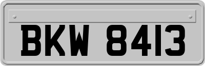 BKW8413