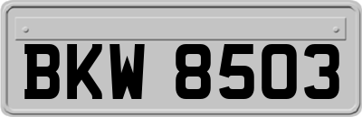 BKW8503