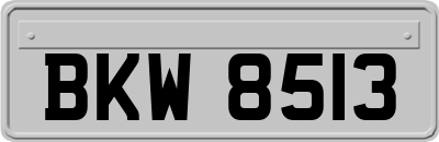 BKW8513