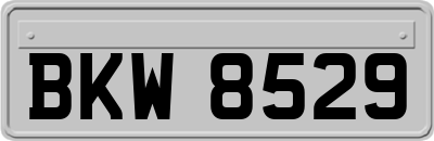 BKW8529
