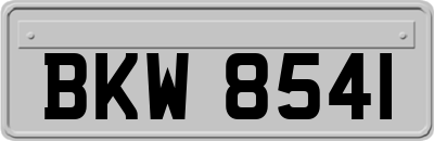 BKW8541