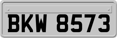BKW8573