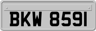 BKW8591