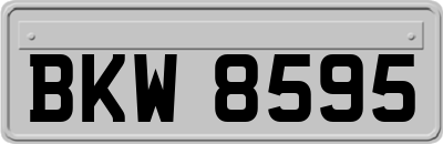 BKW8595