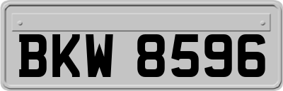 BKW8596