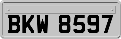 BKW8597