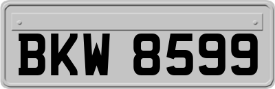 BKW8599