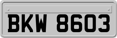 BKW8603