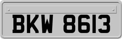 BKW8613