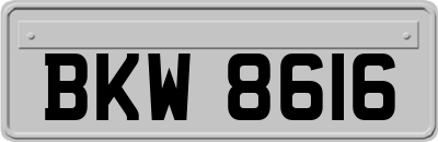 BKW8616