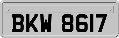 BKW8617