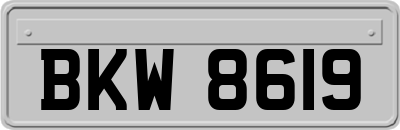 BKW8619