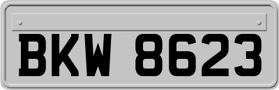 BKW8623